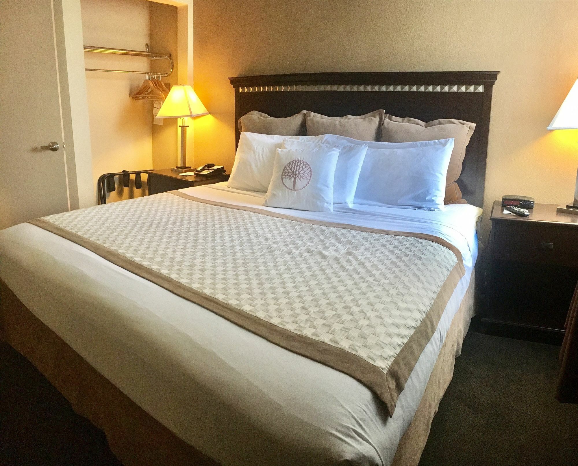 Hawthorn Suites By Wyndham Chandler Eksteriør bilde